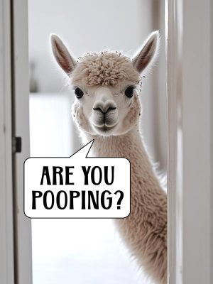 Lama Vaart in De Weg!
