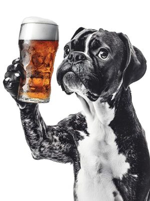 Proost, mijn viervoeter!