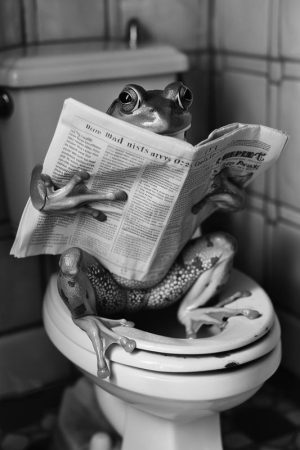 Grappige Kikker op het Toilet!