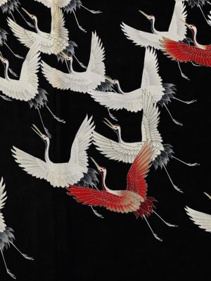 Elegante Kraanvogels in Vlucht