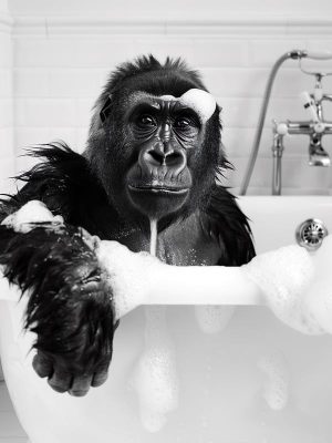 Gekke Gorilla in Bad!
