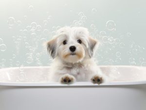 Schattige Puppy in Bad