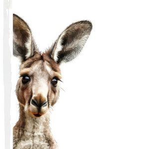 Schattige Kangaroo Kiekeboe!