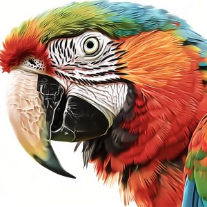 Kleurrijke Papegaai Pech