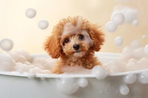 Schattige Baddertjes!