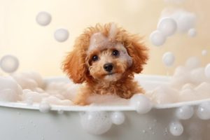 Bubblebad Hondje