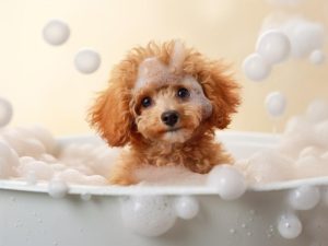 Schattig Baddertje!