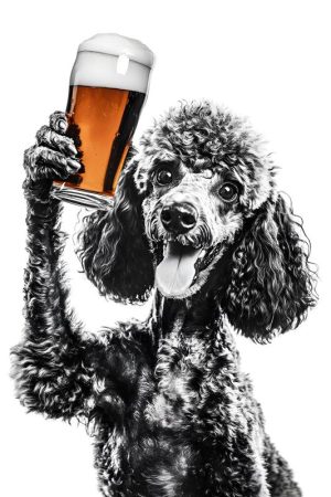 Proost met deze Teckel!