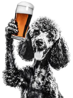 Proost met deze vrolijke poodle!