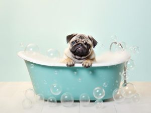 Schattige Pug in de Badkuip