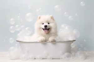 Bubbels en Blijdschap!