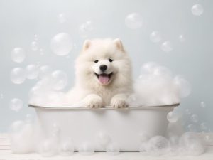 Knuffelige Badgenoot!