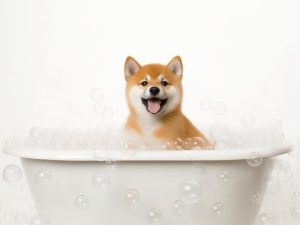 Gellukkige Hond in de Badkuip