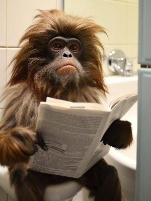 Simpel een Aap met een Boek!