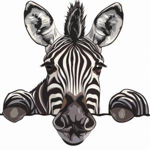 Zebra met een Glimlach