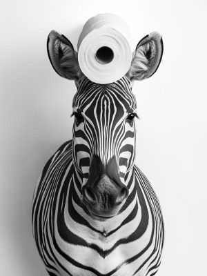 Zebra met een Twist!