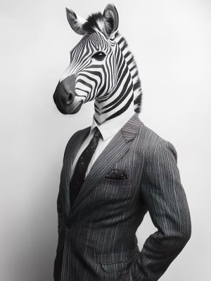 Stijlvolle Zebra