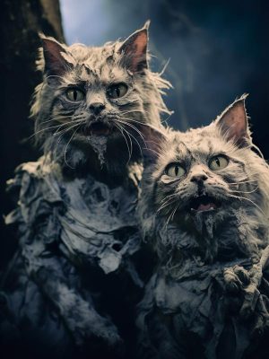 Schattige Trouwe Katten