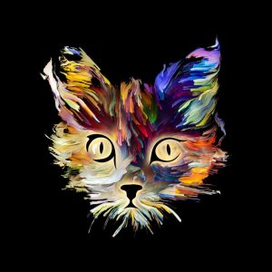 Kleurige Kattenkracht