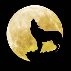 Mysterieuze Howl onder de Maan