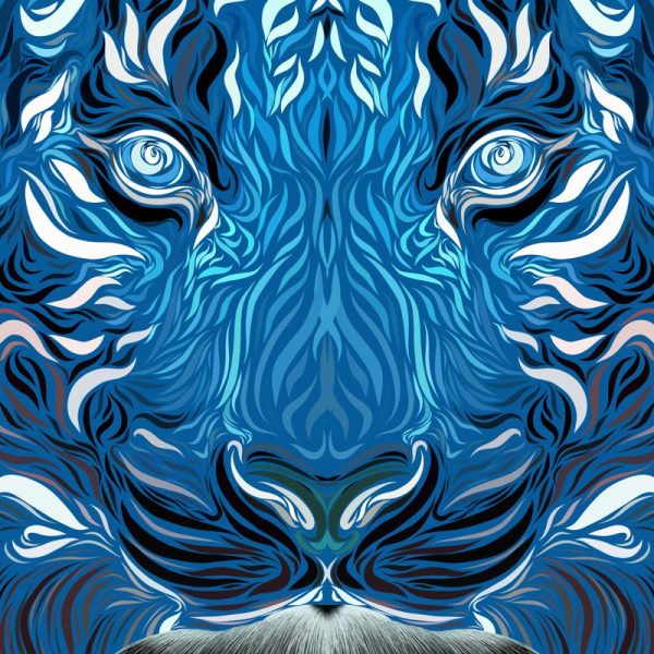 Betoverende Blauw Tijger