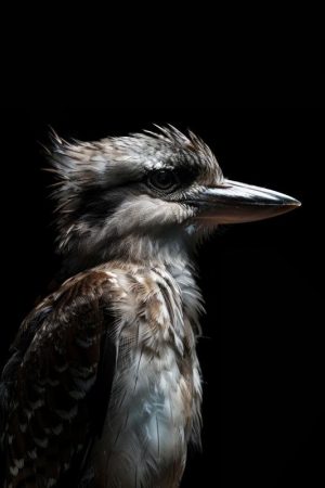 Majestueuze IJsvogel in Zwart-Wit
