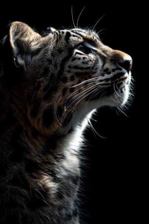 Fascinerende Gloed van de Wilde Kat