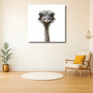 Portret van een nieuwsgierige struisvogel