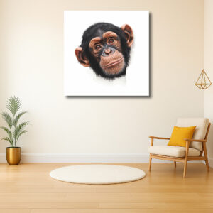 Aandachtige Chimpansee