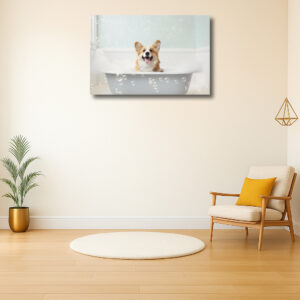 Vrolijke Corgi in een bad vol bubbels