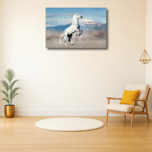 Witte Hengst Tegen Blauwe Lucht