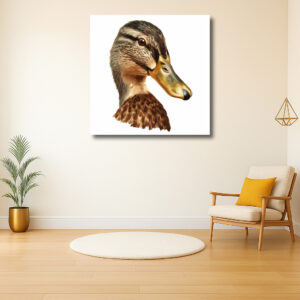 vogels