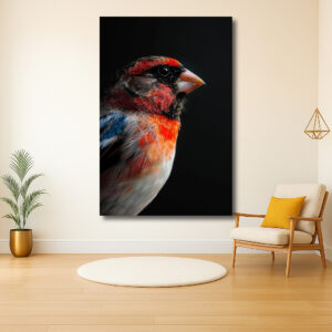 Portret van een kleurrijke vogel