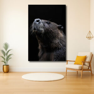 Portret van een nieuwsgierige Bever