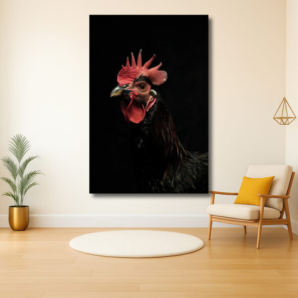 Portret van een trotse haan