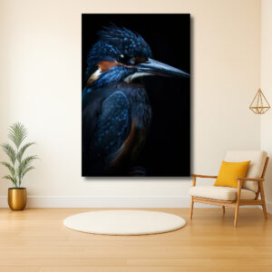 Majestueuze IJsvogel in het Duister