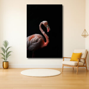 flamingo's