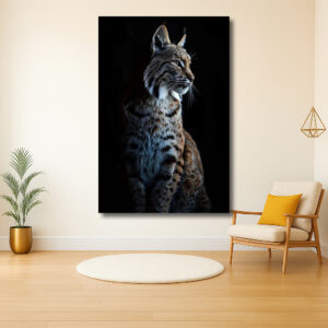 Majestueuze Kat in het Donker