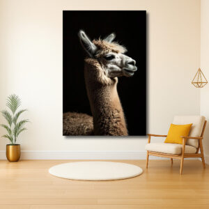 Majestueuze Zijaanzicht van een Alpaca