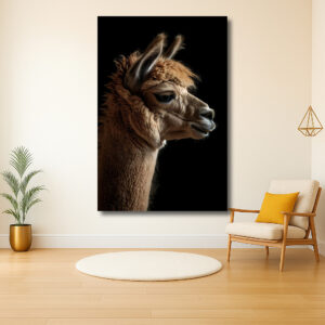 Elegante lama in profiel