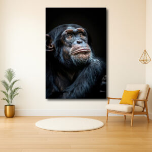 Verfijnde Blik van een Chimpansee