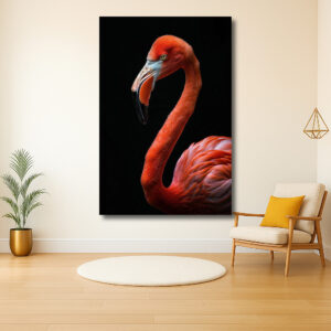 Majestueuze Flamingo tegen Zwarte Achtergrond