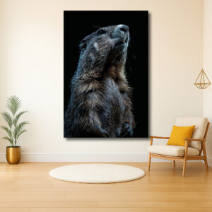 Majestueuze Marmot in het Duister