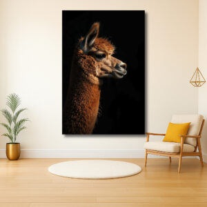 Sierlijke alpaca in profiel