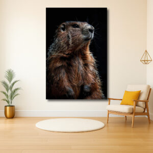 Majestueuze Marmot in Profiel