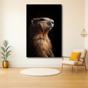 Portret van een nieuwsgierige prairiehond