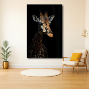 Giraffe in het donker