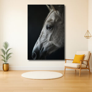 Intense blik van een paard