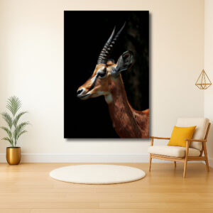 Elegante gazelleprofiel in natuurlijke omgeving