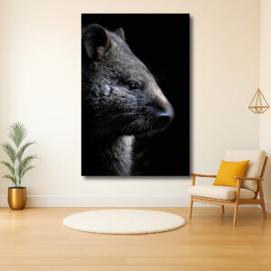 buideldieren